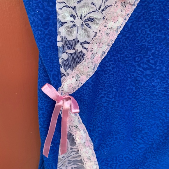Lingerie-Nature’s intimates sheer lingerie,blue/pink, 36b - Picture 7 of 16